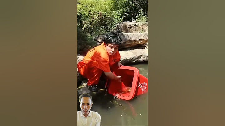 Stop Cleaning!✋ Let's Save Our Dirty Rivers Now💧🍓 2024  #catvideos #catmemes #trending