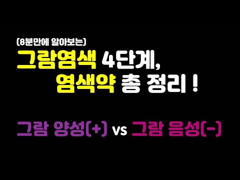 세균은 2가지로 구분된다. 가성비 좋은 그람염색의 4단계, 염색약 총정리