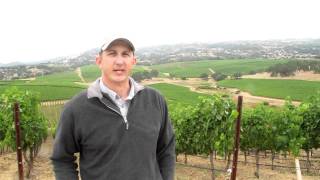 Dave Shane, the Napa Valley Vyd Mgr for Silver Oak and Twomey talks about the growing season.