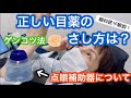 正しい点眼方法と点眼補助器の使い方＠元町マリン眼科