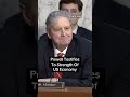 Fed Chair Powell testifies to the strength of the US economy #economy #inflation #trump #stocks