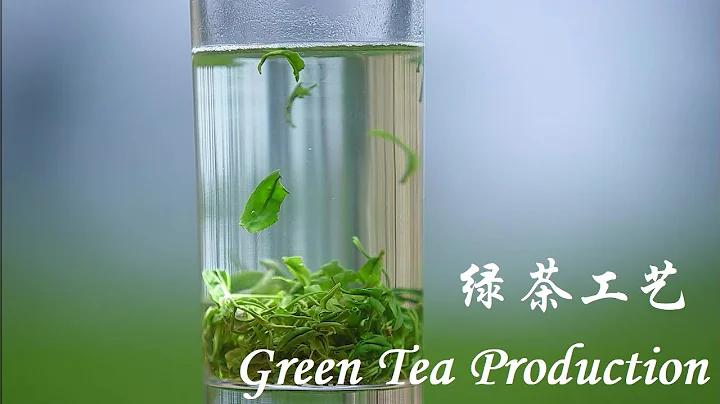 绿茶工艺 Green Tea Production - 天天要闻