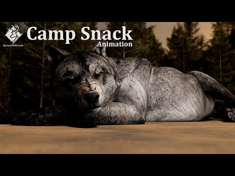 Camp Snack