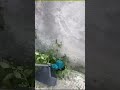 Brushless string trimmers#line trimmer#garden tools#power tools#source factory