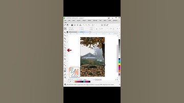 #shorts 2 How to Turn Day Scene to Night Scene Using Transparency Tool in Corel Draw | YN Tutor