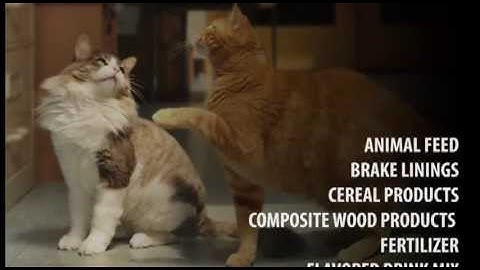 APEC - Processing the Ingredients for Success