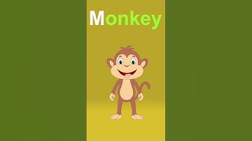 Alphabet Song | Phonics Song @ZingyKidz