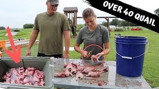 You Have Never Seen A Quail Catch Clean And Cook Like This Before!