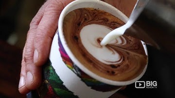 Dutch Coffee Lab Cafe Adelaide Coffee Shop serving Brewed Coffee and Pastry