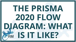 The PRISMA 2020 flow diagram: what is it all about? screenshot 4