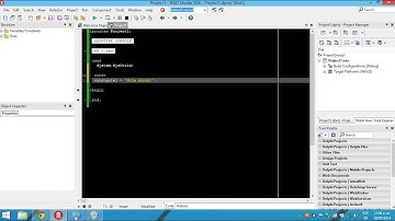 3-tutorial basico Delphi XE6