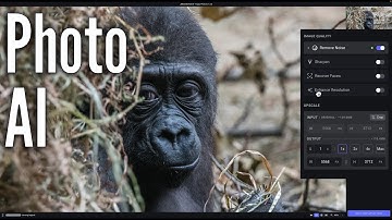 Best Way to Use Photo AI as a Lightroom Plugin