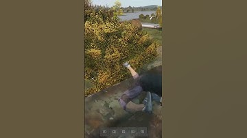 Only the best DayZ intro...