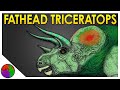 Bizarre Truth Behind The Triceratops Hump | McLoughlin&#39;s Ceratopsians