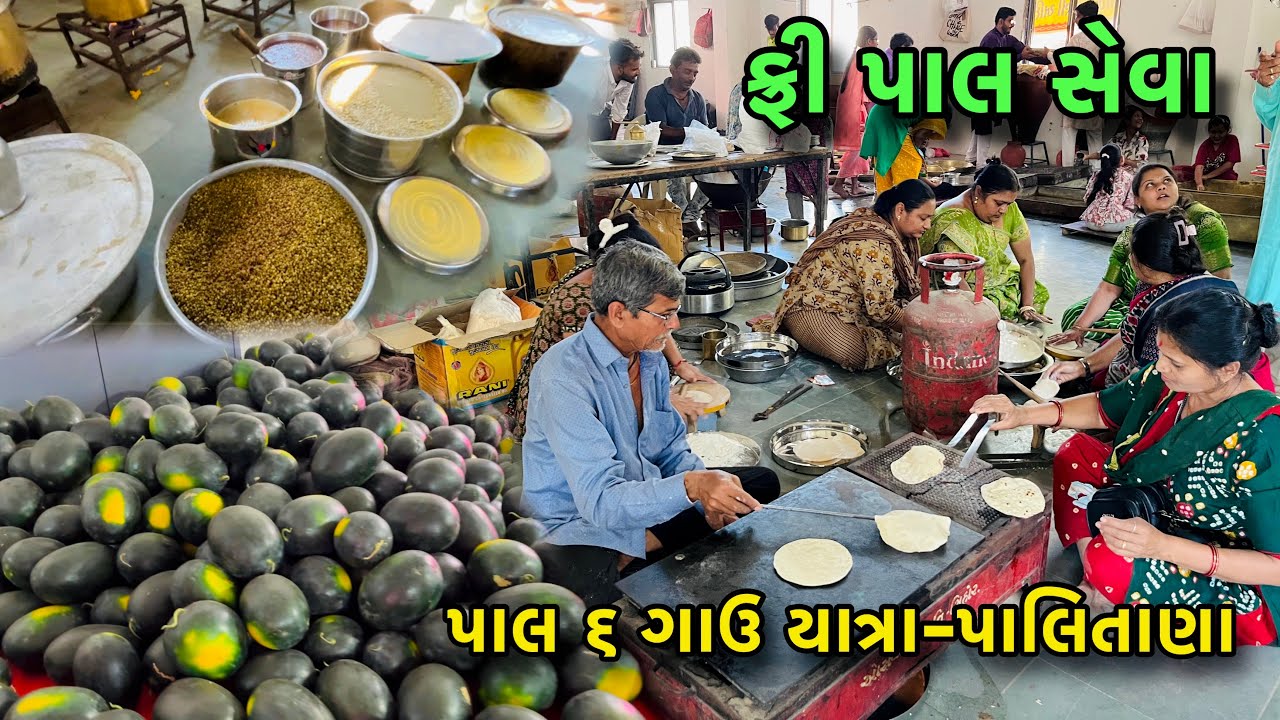 Paal 6 gauv Yatra | ફ્રી પાલ સેવા પાલિતાણા | palitana Jain tirth | 2026