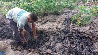 processo final do nosso carvão vegetal