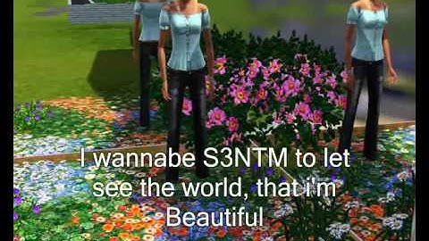 Application Sims3Fanatic09 S3NTM cycle 2