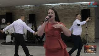 Vasilica de la Strehaia 🏆Cea mai a dracu sarba 🏆SARBE Bomba 🏆Sarbe forta 🏆 Sarbe belea🏆