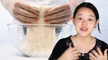 Knead, Stretch and Fold, or No Knead | Bread Science with Seraphine Lishe