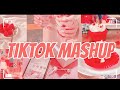 Best TikTok Mashup (Not Clean) 💙💙💙💙
