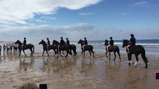 The Household Cavalry on Holkham Beach, July 2019