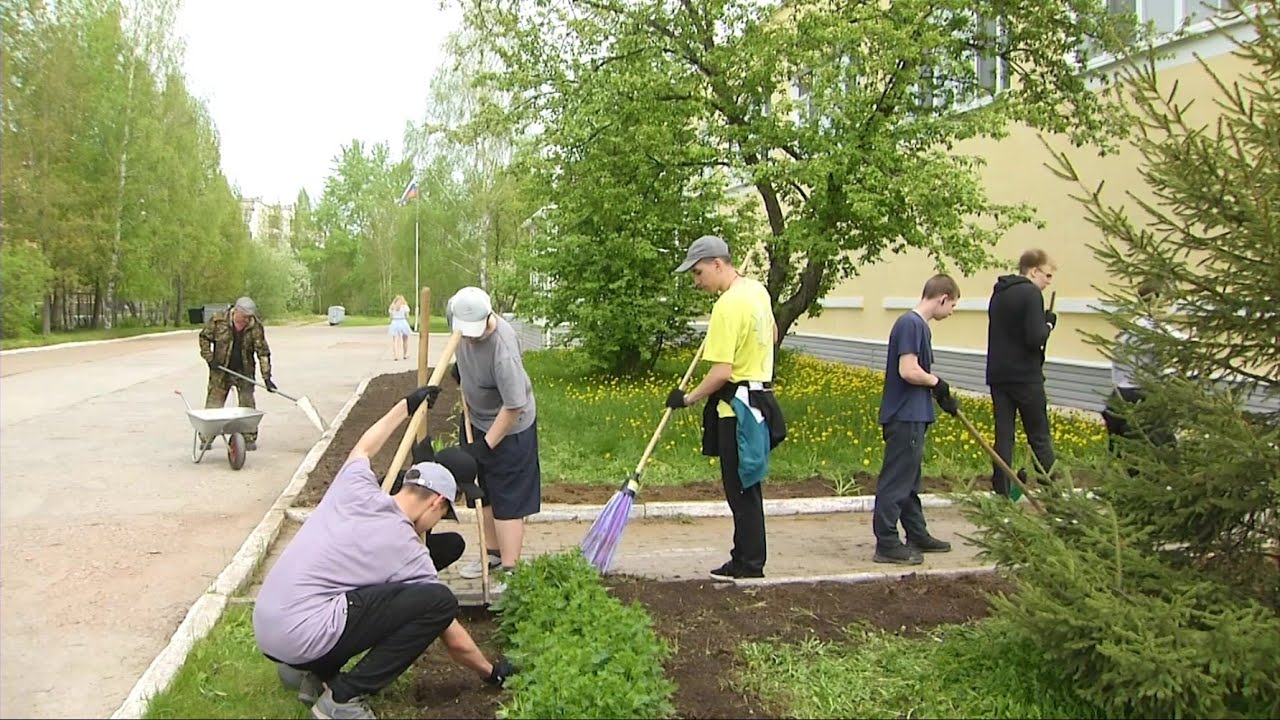 Поработать в трудовом лагере – интересно и полезно #серовтв #серов