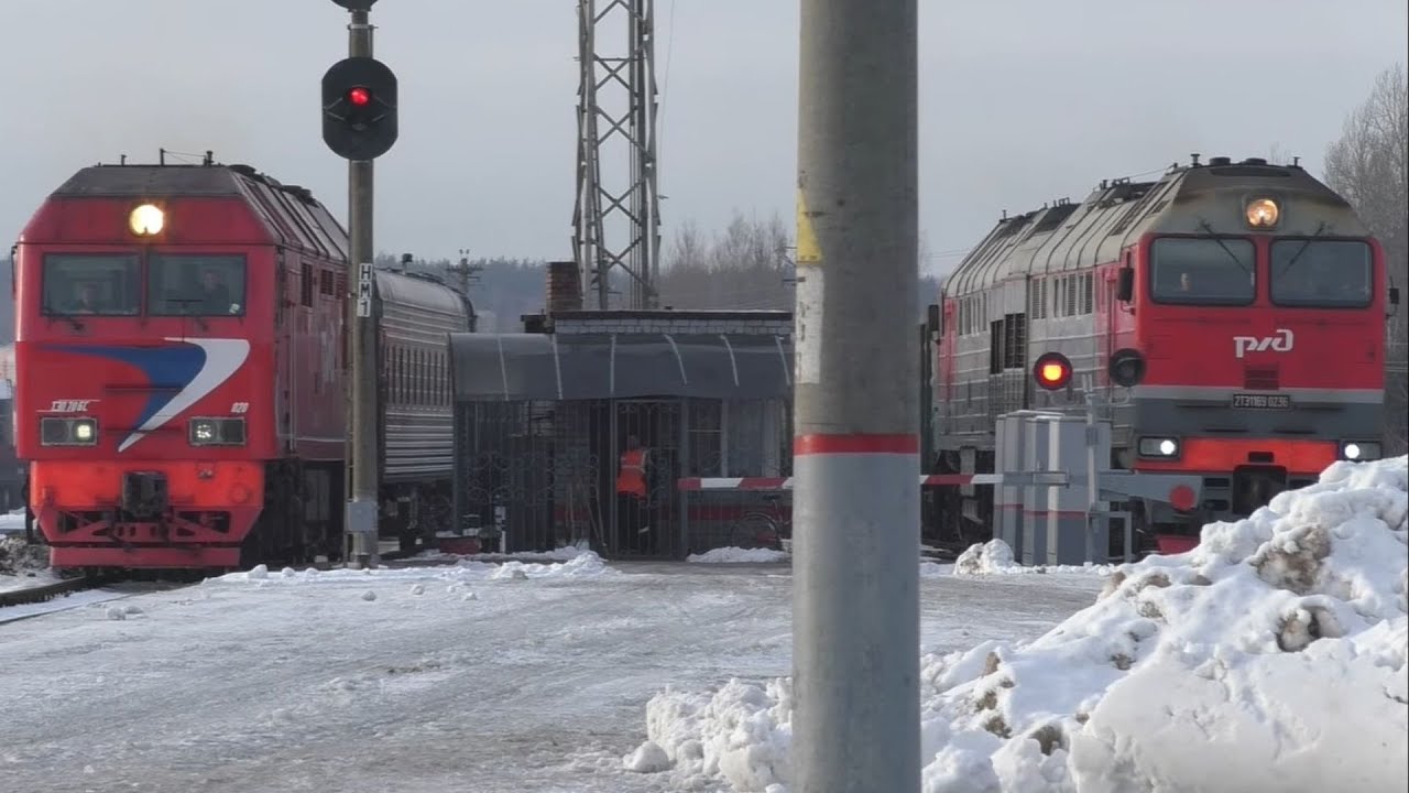 Электричка калининград гусев. Поезд 080ч Калининград Санкт-Петербург. Поезд Калининград Санкт 080ч. Поезд Великие Луки Санкт-Петербург. Поезд Санкт-Петербург Калининград.