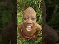 funny Shorts#viralvideos#shorts#funnyshorts#video