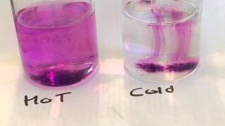 Diffusion of Potassium Permanganate in Hot and Cold Water