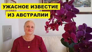 УЖАСНОЕ ИЗВЕСТИЕ ИЗ АВСТРАЛИИ..ОТРЕЗВЛЯЮЩИЕ НОВОСТИ