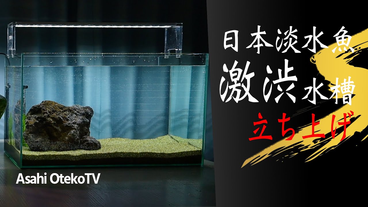 田んぼの砂を使った渋い日本淡水魚水槽を作ります 日淡水槽 Youtube