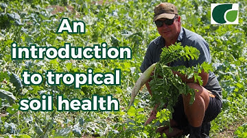 Tropical Soils: Soil Health in the Tropics