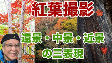 紅葉撮影　遠景・中景・近景の三表現