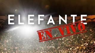 Elefante - Mentirosa [En Vivo] (Audio Oficial) chords