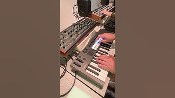 #Arpeggiator patterns w/ the #Launchkey 37 + #Prophet5