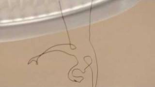 Pert Plus Hair Fall Control Egypt