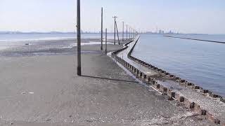 「海の中に立つ電柱」千葉県江川海岸【観光】