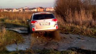 Subaru Outback 2011 on light off-road