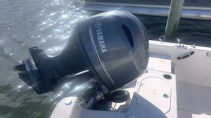 2021 Carolina Skiff 19LS