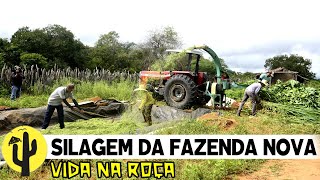 [VIDA NA ROÇA] FAZENDA NOVA | Acompanhamos a Fabricação da Silagem de Ração para o GADO LEITEIRO