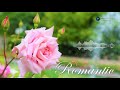 Romantic SMS Ringtone Notification Sound Romantic SMS Ringtone Notification Sound