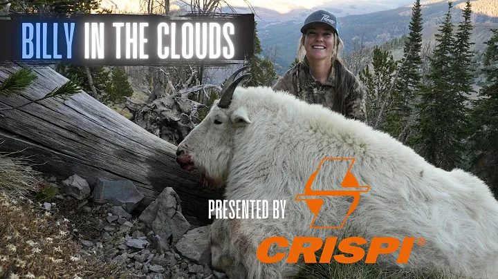 BILLY IN THE CLOUDS - Nicole's Idaho Mountain Goat...