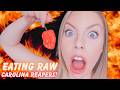 The Most EXTREME CHALLENGE YET!🥵 Eating The WORLD'S HOTTEST PEPPER RAW!