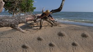 Primitive Ocean Using Bamboo Dig Sea Crab