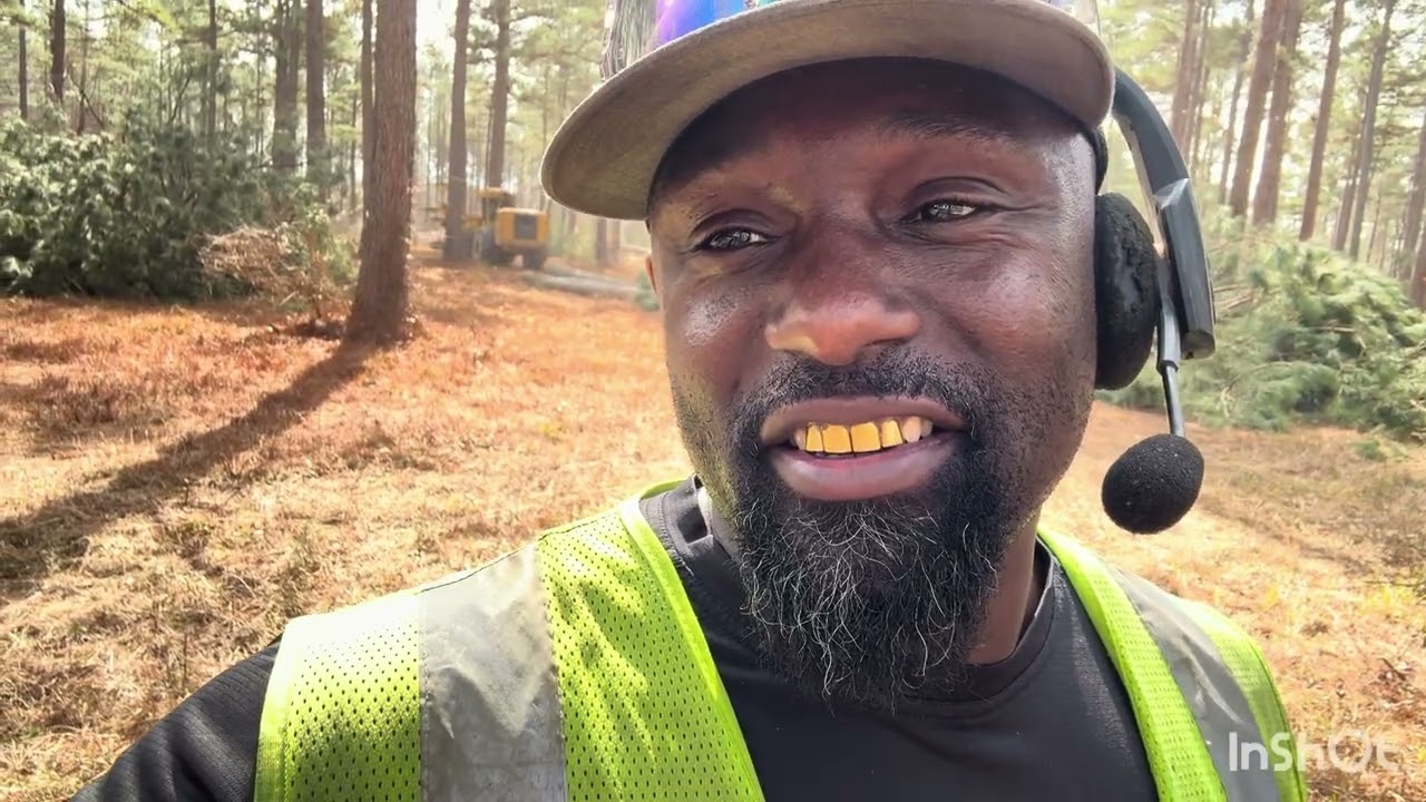 🌳The love for Logging 🌳