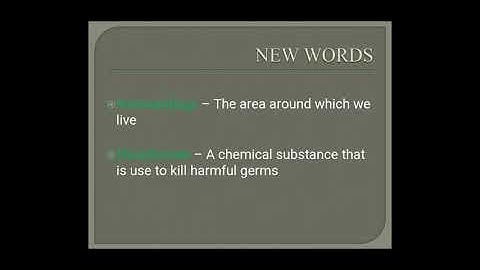 Grade 2 EVS Cleanliness around us Time 10 AM Date :05/10/2020