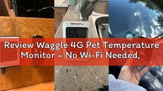 Review Waggle 4G Pet Temperature Monitor – No Wi-Fi Needed, Real-Time App/SMS/Email Alerts - RV, Car