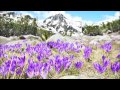 Bulgarian Mountains HD