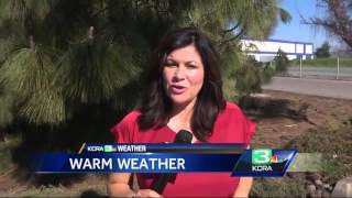 Mosquito and Vector Control officials increase mosquito trappings