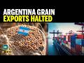Argentina Grain Trade Stalls as Maritime Pilots Strike Leaves Dozens of Export Ships Stranded